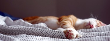 The eight tricks of science to sleep better (and a definitive advice)
