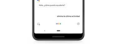 Google Assistant: How to remove voice activity