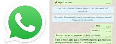 How to save a WhatsApp chat and view it later as in the application