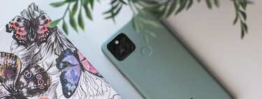 The best camera phones of 2021