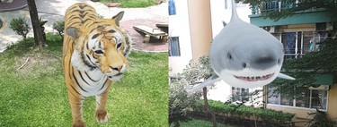 Tigers, sharks and other animals in 3D with augmented reality: how to do it, what animals are there and what do you need