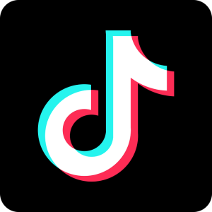 Read more about the article How to Permanently Delete TikTok Account